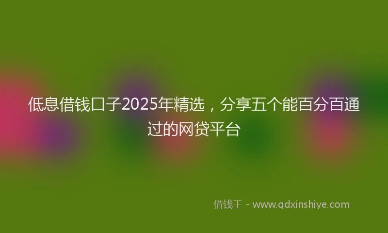 低息借钱口子2025年精选，分享五个能百分百通过的网贷平台