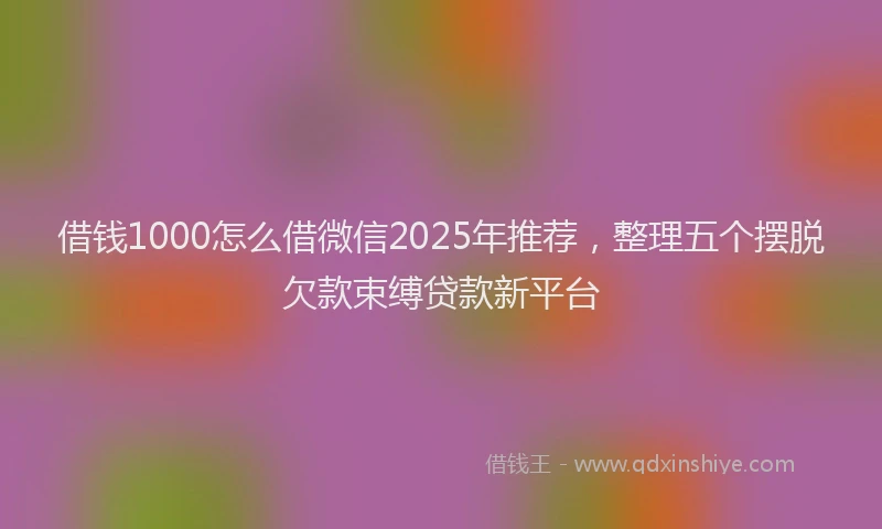 借钱1000怎么借微信2025年推荐，整理五个摆脱欠款束缚贷款新平台