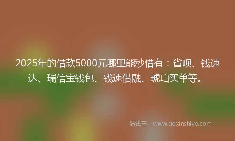 2025年的借款5000元哪里能秒借有：省呗、钱速达、瑞信宝钱包、钱速借融、琥珀买单等。