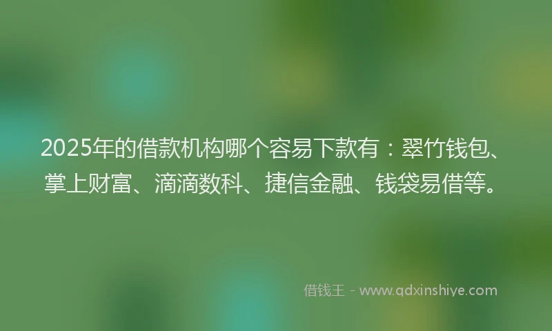2025年的借款机构哪个容易下款有：翠竹钱包、掌上财富、滴滴数科、捷信金融、钱袋易借等。