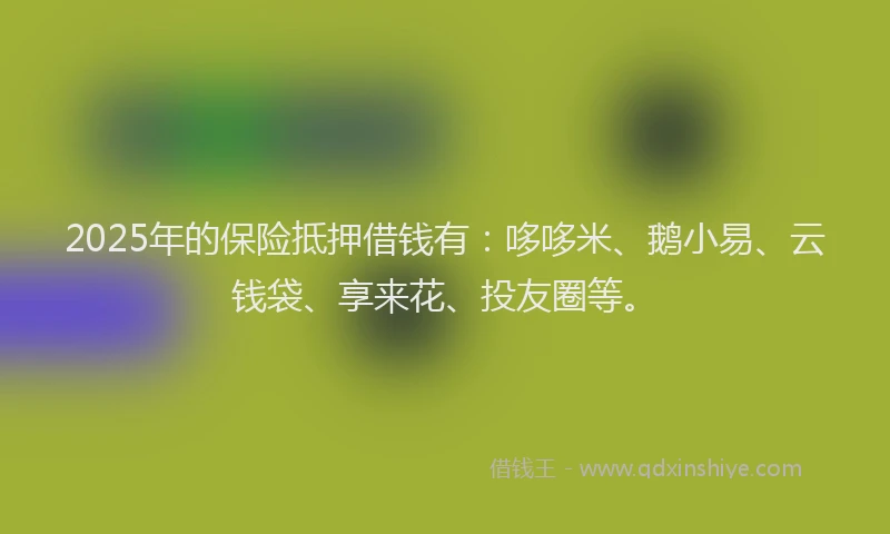2025年的保险抵押借钱有：哆哆米、鹅小易、云钱袋、享来花、投友圈等。
