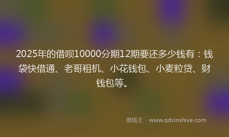 2025年的借呗10000分期12期要还多少钱有：钱袋快借通、老哥租机、小花钱包、小麦粒贷、财钱包等。