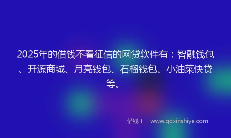 2025年的借钱不看征信的网贷软件有：智融钱包、开源商城、月亮钱包、石榴钱包、小油菜快贷等。