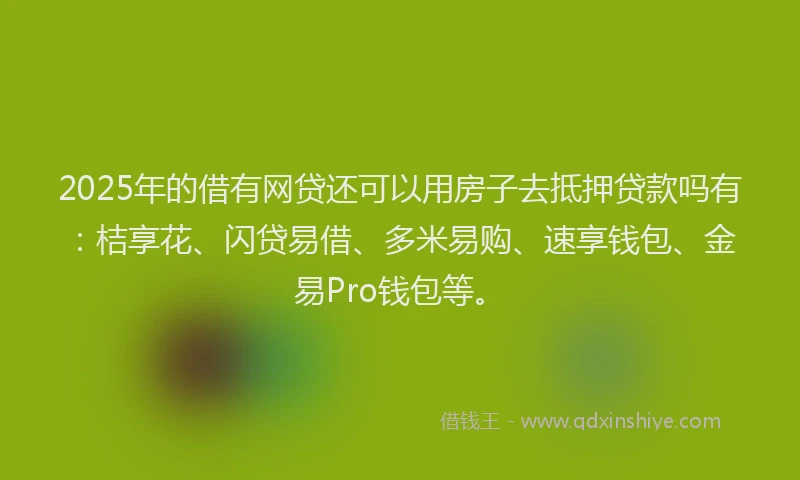 2025年的借有网贷还可以用房子去抵押贷款吗有：桔享花、闪贷易借、多米易购、速享钱包、金易Pro钱包等。