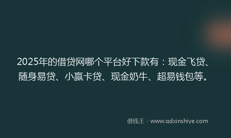 2025年的借贷网哪个平台好下款有：现金飞贷、随身易贷、小赢卡贷、现金奶牛、超易钱包等。