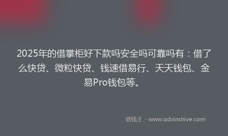 2025年的借掌柜好下款吗安全吗可靠吗有：借了么快贷、微粒快贷、钱速借易行、天天钱包、金易Pro钱包等。