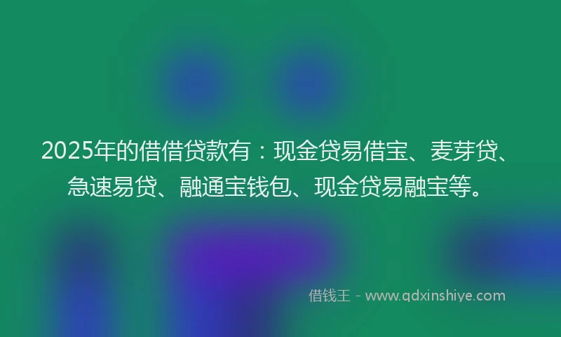2025年的借借贷款有：现金贷易借宝、麦芽贷、急速易贷、融通宝钱包、现金贷易融宝等。