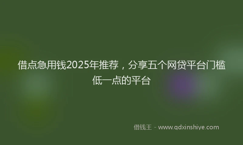 借点急用钱2025年推荐，分享五个网贷平台门槛低一点的平台