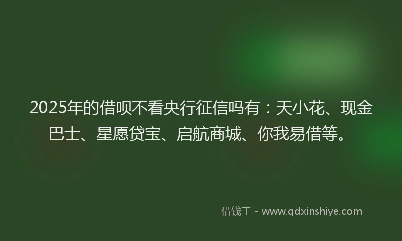 2025年的借呗不看央行征信吗有：天小花、现金巴士、星愿贷宝、启航商城、你我易借等。