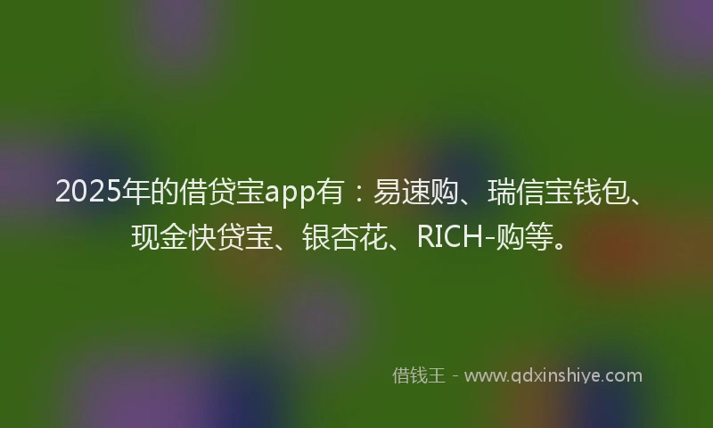 2025年的借贷宝app有：易速购、瑞信宝钱包、现金快贷宝、银杏花、RICH-购等。