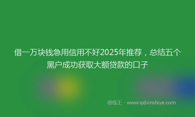 借一万块钱急用信用不好2025年推荐，总结五个黑户成功获取大额贷款的口子
