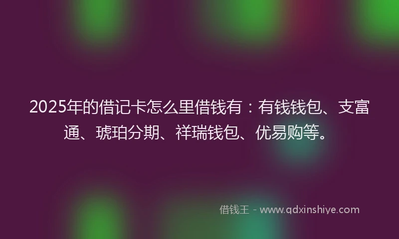 2025年的借记卡怎么里借钱有：有钱钱包、支富通、琥珀分期、祥瑞钱包、优易购等。