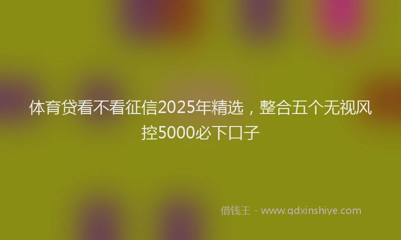 体育贷看不看征信2025年精选，整合五个无视风控5000必下口子