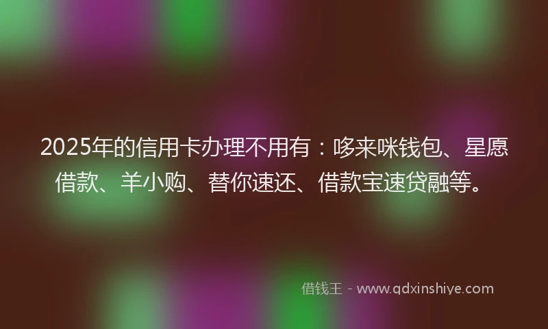 2025年的信用卡办理不用有：哆来咪钱包、星愿借款、羊小购、替你速还、借款宝速贷融等。