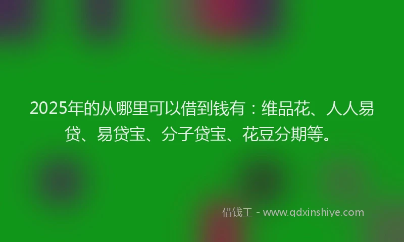 2025年的从哪里可以借到钱有：维品花、人人易贷、易贷宝、分子贷宝、花豆分期等。