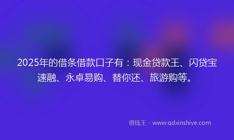 2025年的借条借款口子有：现金贷款王、闪贷宝速融、永卓易购、替你还、旅游购等。