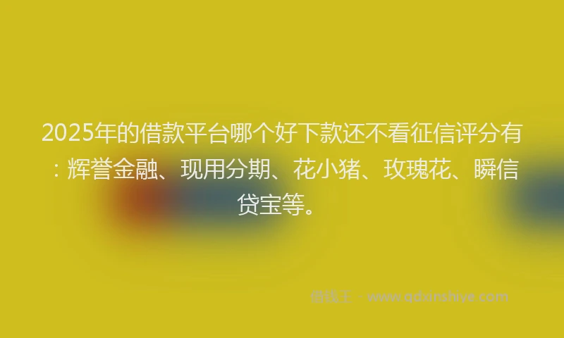 2025年的借款平台哪个好下款还不看征信评分有：辉誉金融、现用分期、花小猪、玫瑰花、瞬信贷宝等。