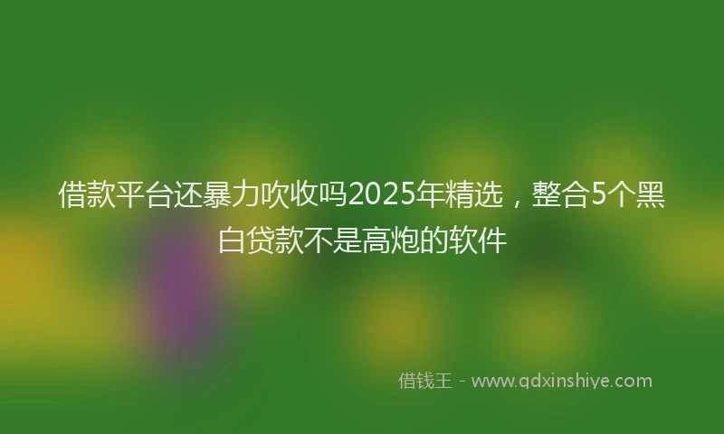 借款平台还暴力吹收吗2025年精选，整合5个黑白贷款不是高炮的软件