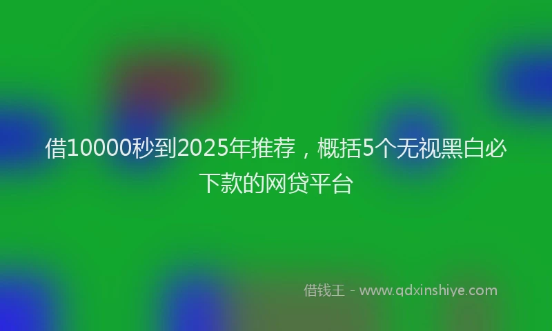借10000秒到2025年推荐，概括5个无视黑白必下款的网贷平台