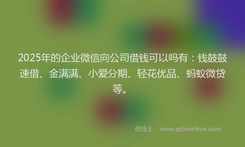 2025年的企业微信向公司借钱可以吗有：钱鼓鼓速借、金满满、小爱分期、轻花优品、蚂蚁微贷等。