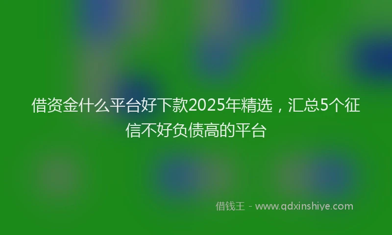 借资金什么平台好下款2025年精选，汇总5个征信不好负债高的平台