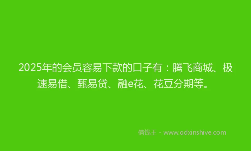 2025年的会员容易下款的口子有：腾飞商城、极速易借、甄易贷、融e花、花豆分期等。