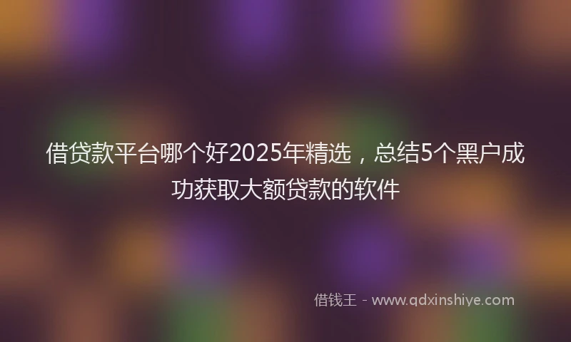 借贷款平台哪个好2025年精选，总结5个黑户成功获取大额贷款的软件