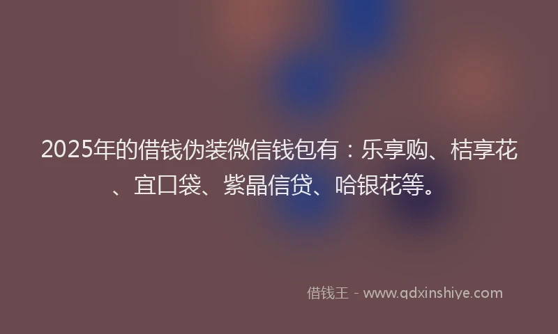 2025年的借钱伪装微信钱包有：乐享购、桔享花、宜口袋、紫晶信贷、哈银花等。