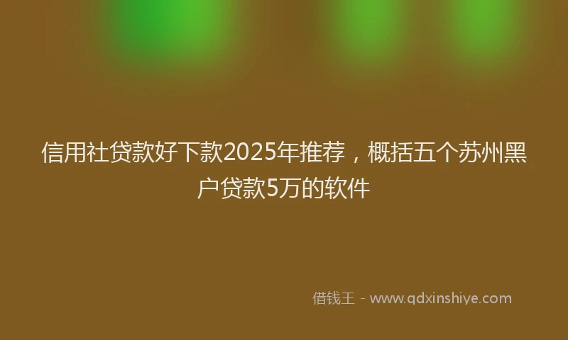信用社贷款好下款2025年推荐，概括五个苏州黑户贷款5万的软件