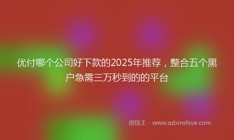 优付哪个公司好下款的2025年推荐，整合五个黑户急需三万秒到的的平台