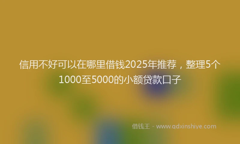 信用不好可以在哪里借钱2025年推荐，整理5个1000至5000的小额贷款口子