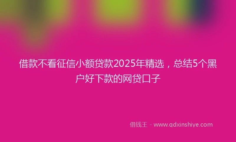 借款不看征信小额贷款2025年精选，总结5个黑户好下款的网贷口子