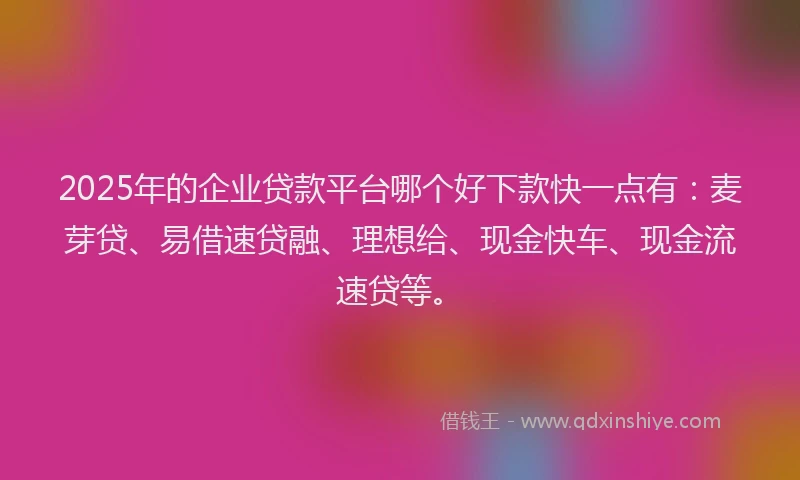2025年的企业贷款平台哪个好下款快一点有：麦芽贷、易借速贷融、理想给、现金快车、现金流速贷等。