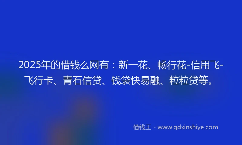 2025年的借钱么网有：新一花、畅行花-信用飞-飞行卡、青石信贷、钱袋快易融、粒粒贷等。