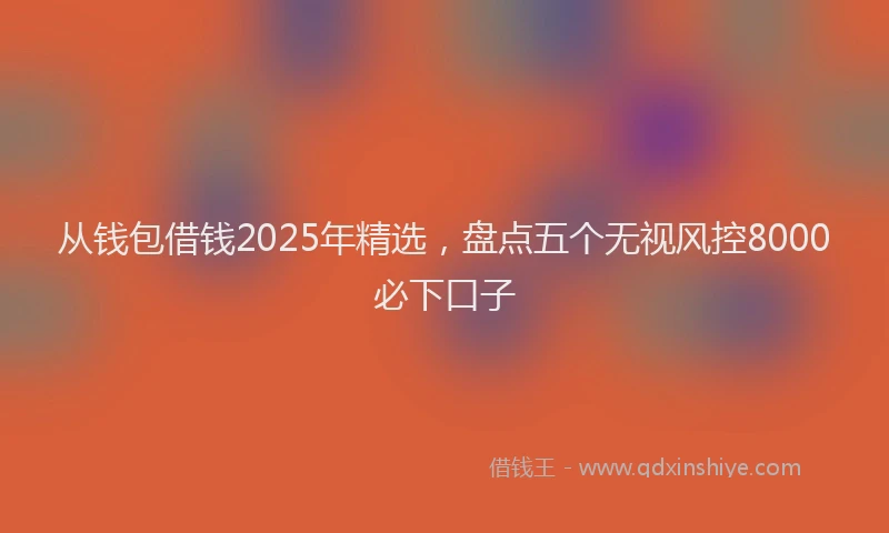 从钱包借钱2025年精选，盘点五个无视风控8000必下口子