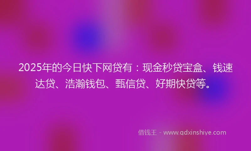 2025年的今日快下网贷有：现金秒贷宝盒、钱速达贷、浩瀚钱包、甄信贷、好期快贷等。