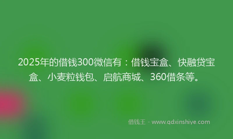 2025年的借钱300微信有：借钱宝盒、快融贷宝盒、小麦粒钱包、启航商城、360借条等。