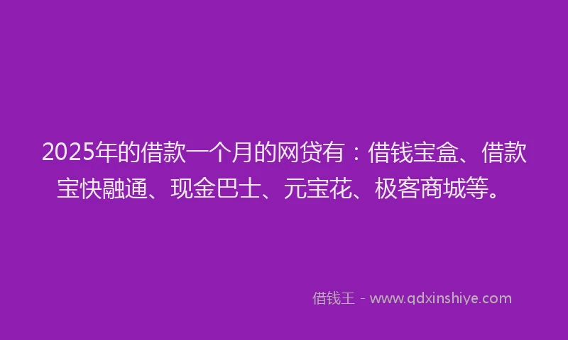 2025年的借款一个月的网贷有：借钱宝盒、借款宝快融通、现金巴士、元宝花、极客商城等。