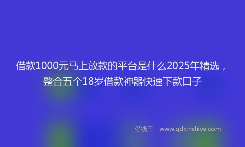 借款1000元马上放款的平台是什么2025年精选，整合五个18岁借款神器快速下款口子