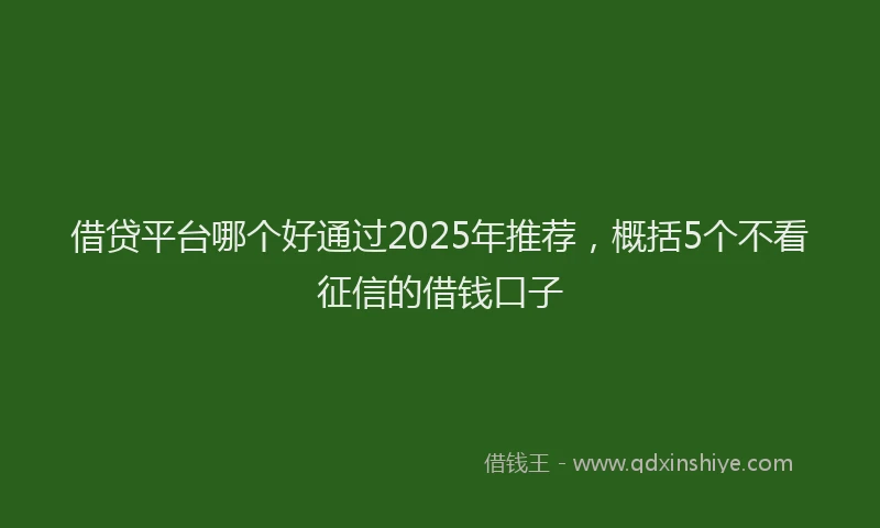 借贷平台哪个好通过2025年推荐，概括5个不看征信的借钱口子