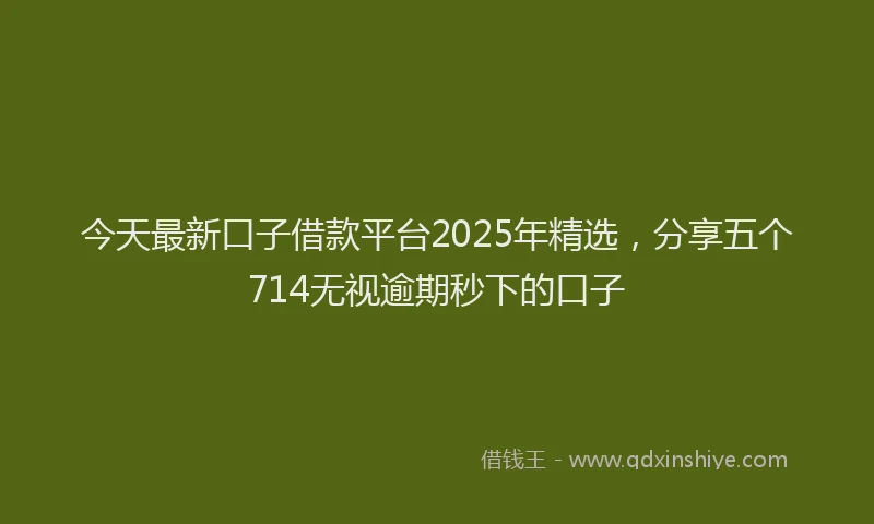 今天最新口子借款平台2025年精选，分享五个714无视逾期秒下的口子