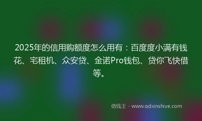2025年的信用购额度怎么用有：百度度小满有钱花、宅租机、众安贷、金诺Pro钱包、贷你飞快借等。