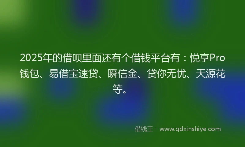 2025年的借呗里面还有个借钱平台有：悦享Pro钱包、易借宝速贷、瞬信金、贷你无忧、天源花等。