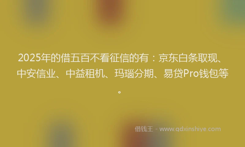 2025年的借五百不看征信的有：京东白条取现、中安信业、中益租机、玛瑙分期、易贷Pro钱包等。