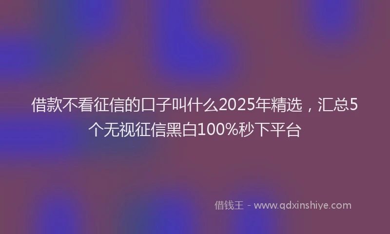 借款不看征信的口子叫什么2025年精选，汇总5个无视征信黑白100%秒下平台