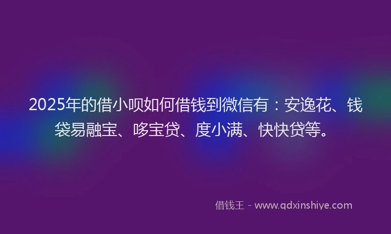 2025年的借小呗如何借钱到微信有：安逸花、钱袋易融宝、哆宝贷、度小满、快快贷等。