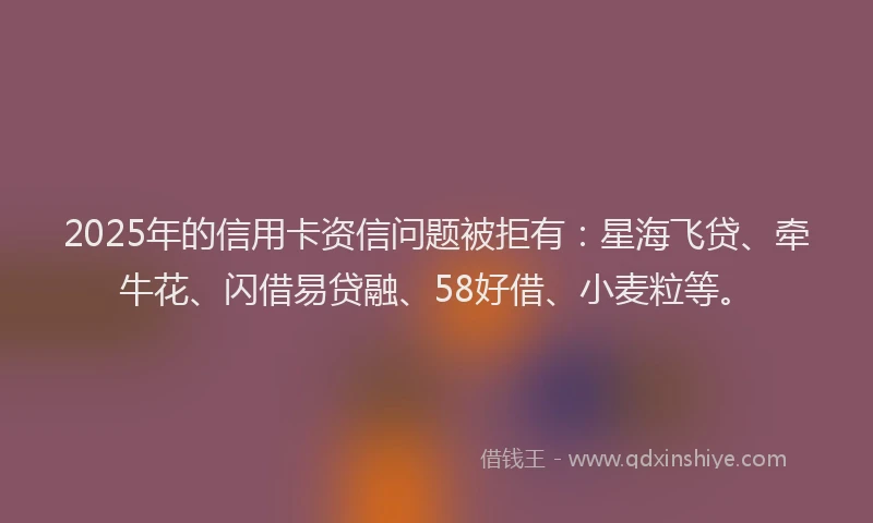 2025年的信用卡资信问题被拒有：星海飞贷、牵牛花、闪借易贷融、58好借、小麦粒等。