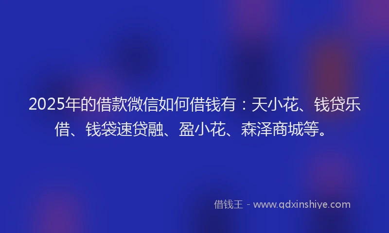 2025年的借款微信如何借钱有：天小花、钱贷乐借、钱袋速贷融、盈小花、森泽商城等。