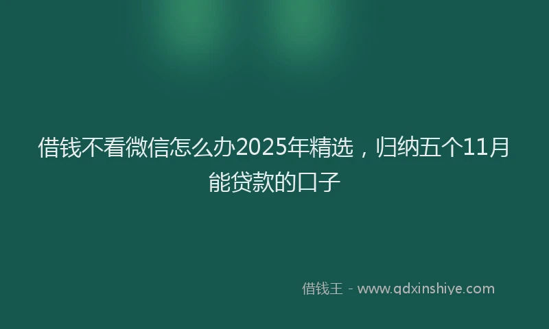 借钱不看微信怎么办2025年精选，归纳五个11月能贷款的口子