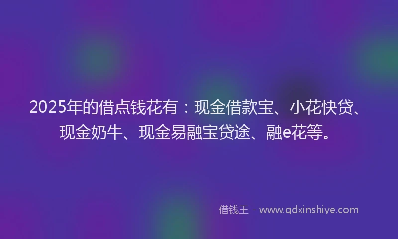 2025年的借点钱花有：现金借款宝、小花快贷、现金奶牛、现金易融宝贷途、融e花等。